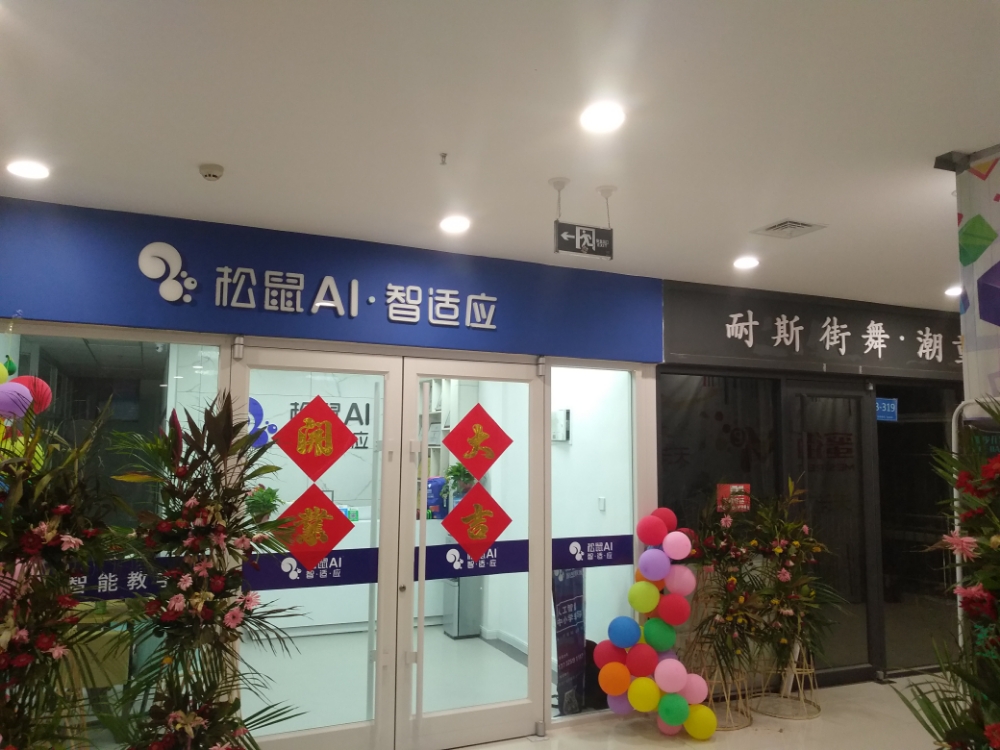 松鼠ai自适应(天洋密街校区)