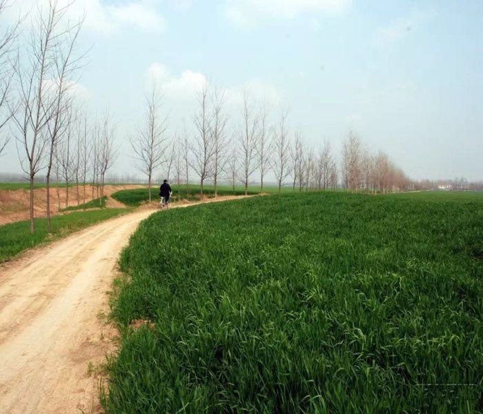 山东省菏泽市曹县阎店楼镇周楼村