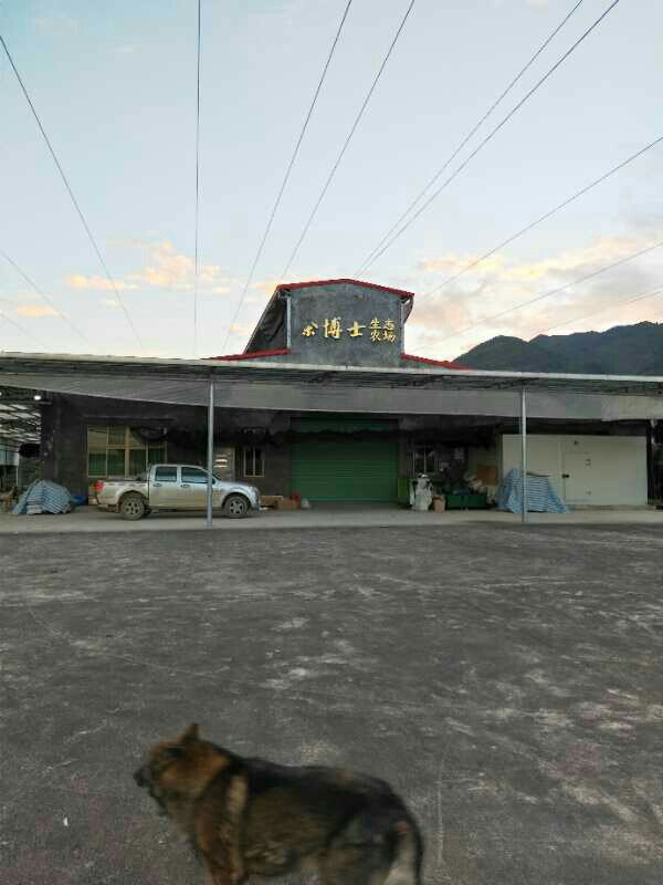 福建省龙岩市漳平市永福镇后盂村79-1号