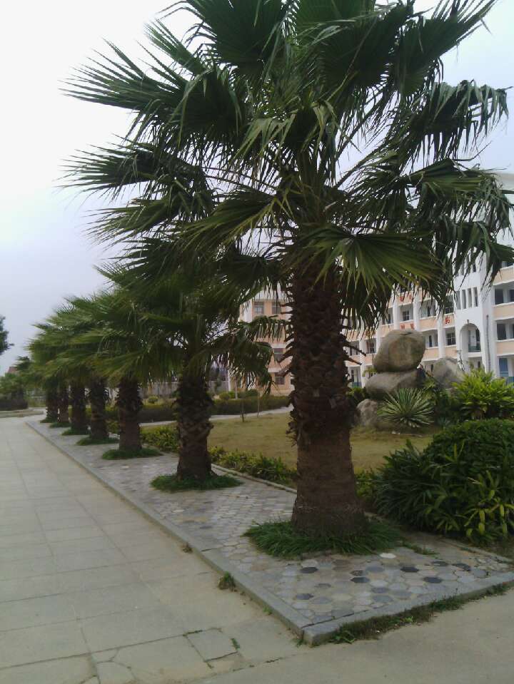 北高镇埕头村360号