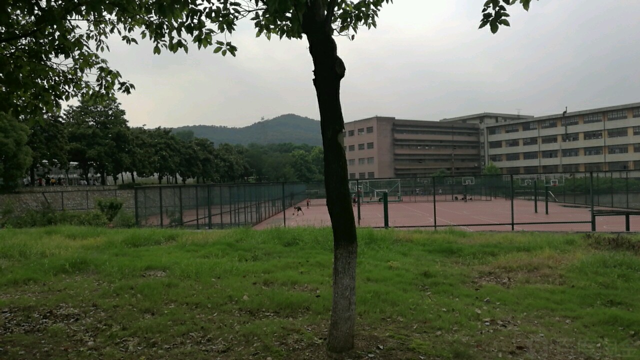 金陵科级学院-篮球场
