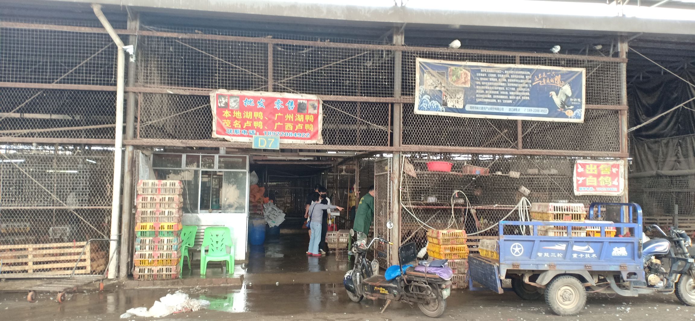 湛江市飞凤三鸟交易市场