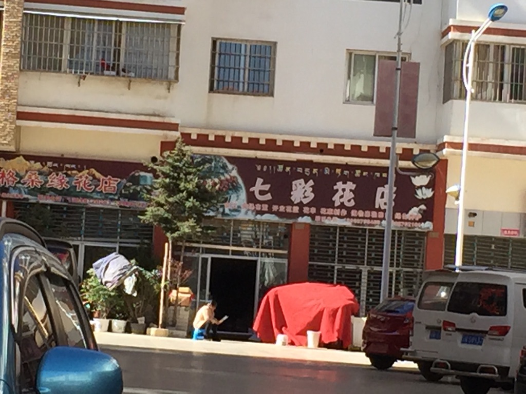 七彩花店(步行街店)