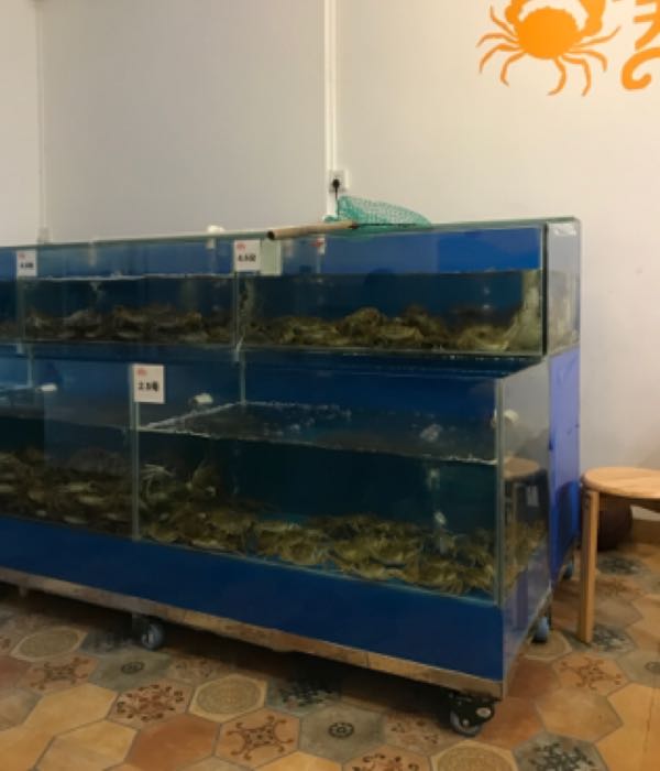 湖小谢牌大通湖大闸蟹