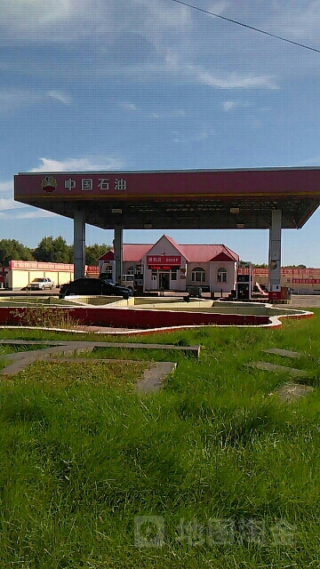 地址(位置,怎么去,怎么走):  黑龙江省齐齐哈尔市拜泉县s211