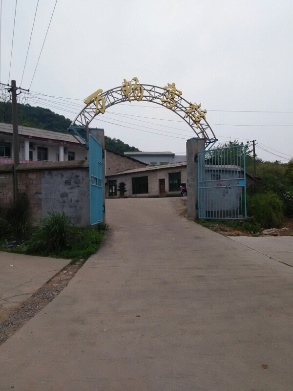 万畅驾校