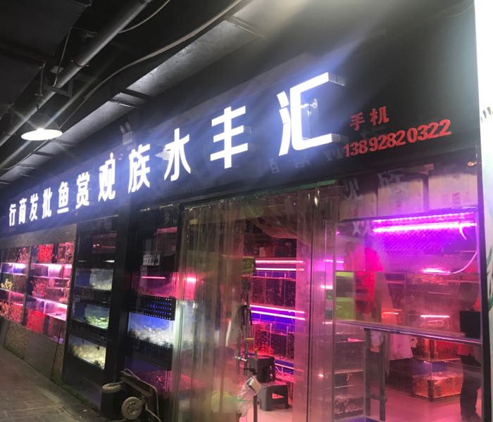 汇丰水族(朱雀花卉市场店)