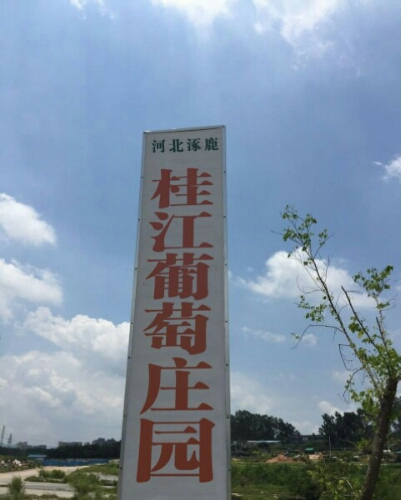 河北涿鹿桂江葡萄庄园