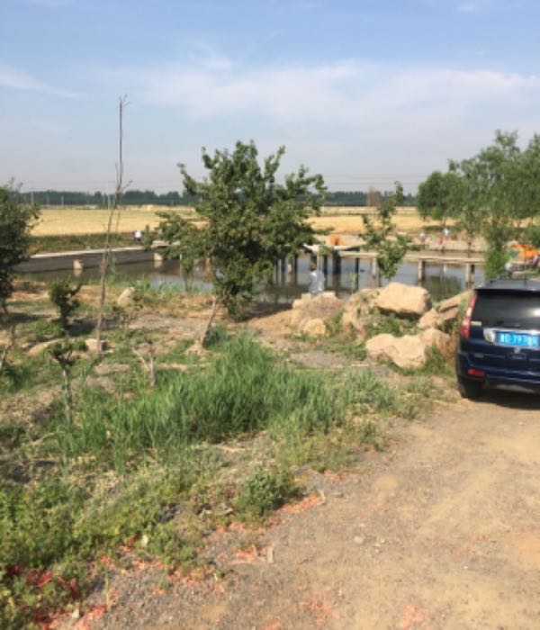地址(位置,怎么去,怎么走):  山东省枣庄市滕州市益康大道