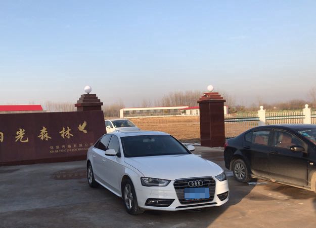 安徽省阳光森林赛鸽中心