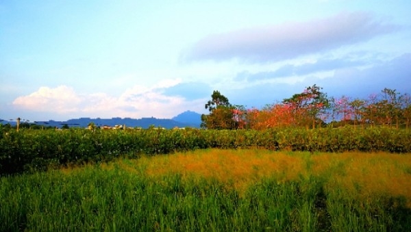 夏寨村风景园区