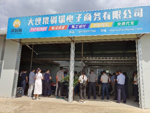 大理挑剔猫电子商务有限公司