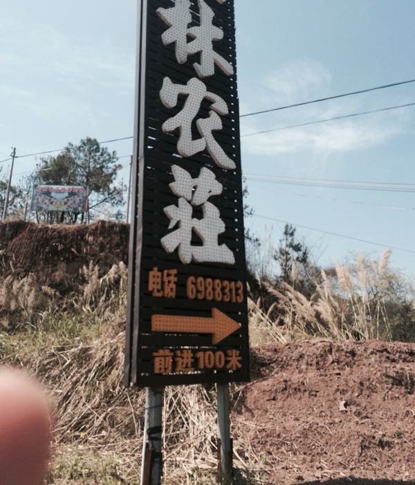 广东省河源市龙川县水贝加油站往佗城方向大约300米205国道旁