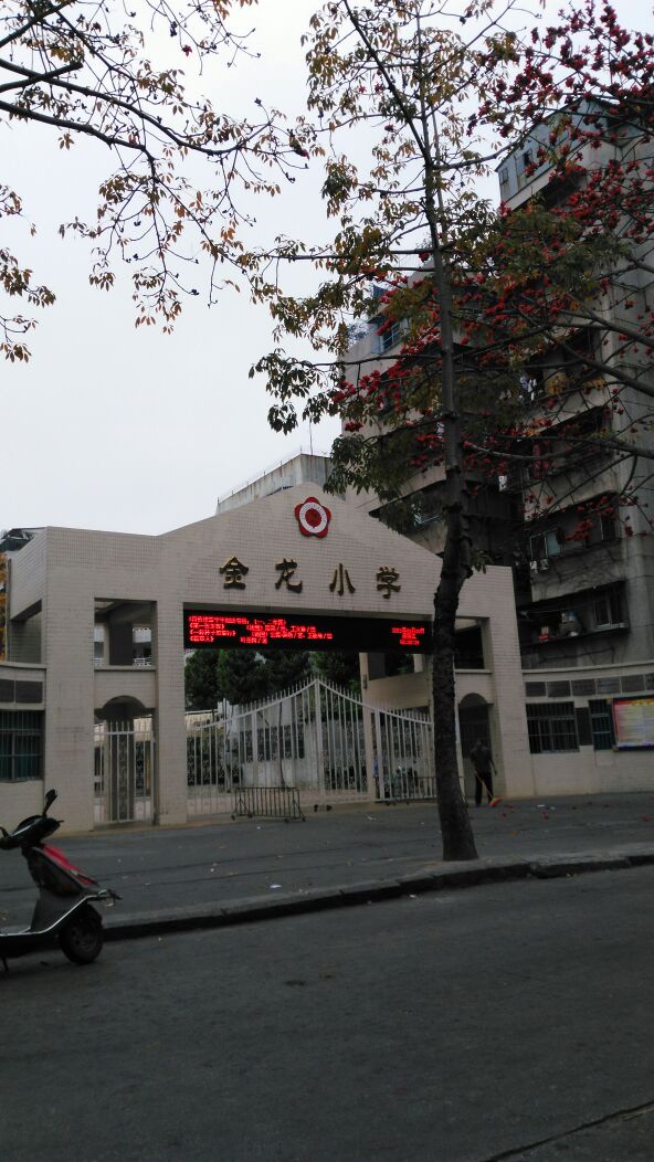 金融小学