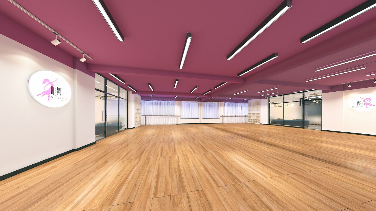 唯舞·舞蹈培训