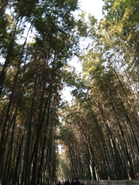 平顶山市叶县