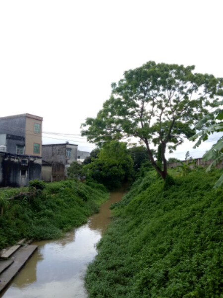 潮州市饶平县