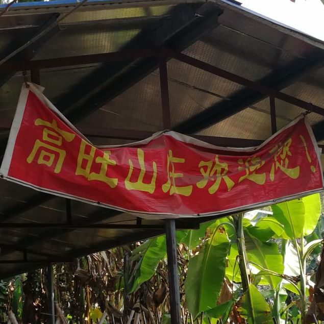 梧州市高旺农场