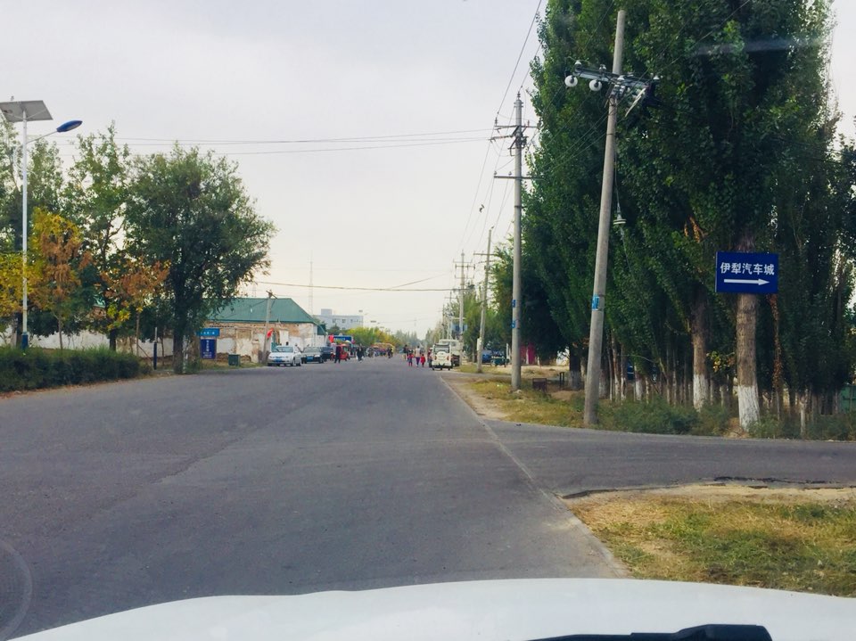 新疆维吾尔自治区伊犁哈萨克自治州伊宁市环城东路东郊汽车城