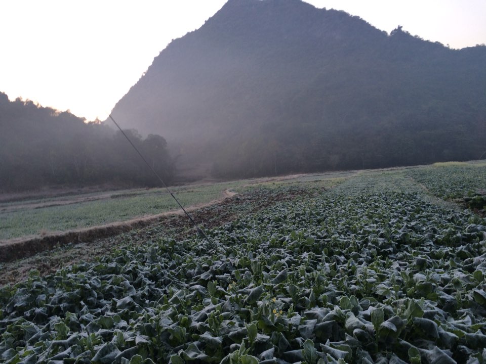 云南省文山壮族苗族自治州广南县