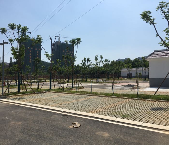天鹅湖公园停车场-出入口