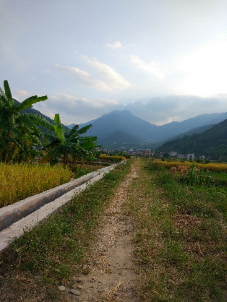 茂名市高州市