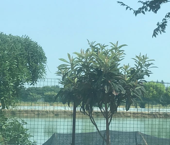 船老大太湖县蟹基地
