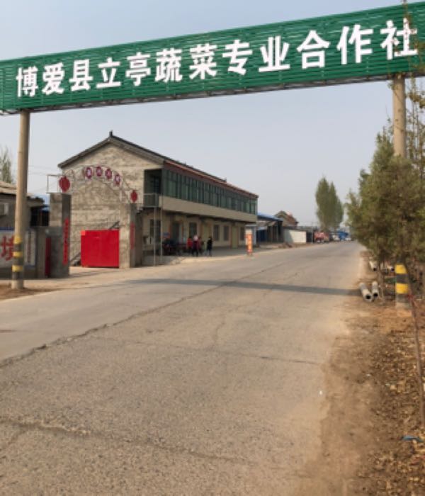 博爱县立亭蔬菜专业合作社
