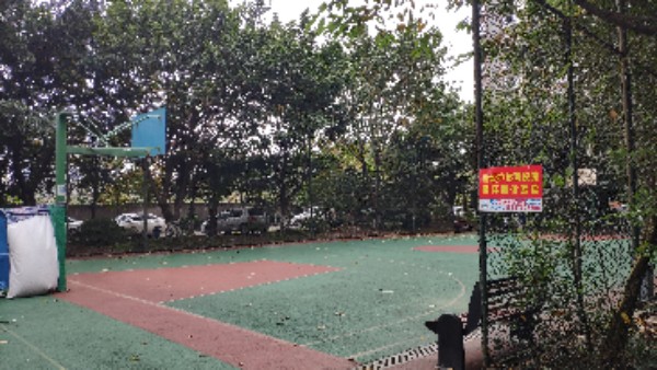 青河世家篮球场