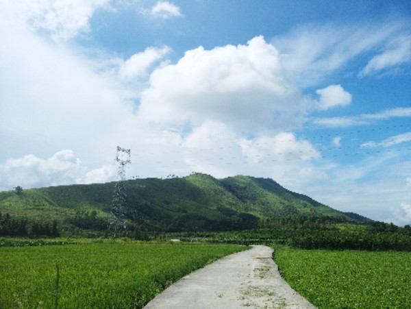 广西壮族自治区桂林市临桂区中庸镇高田村委