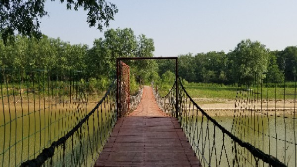 槐花仙岛旅游度假区