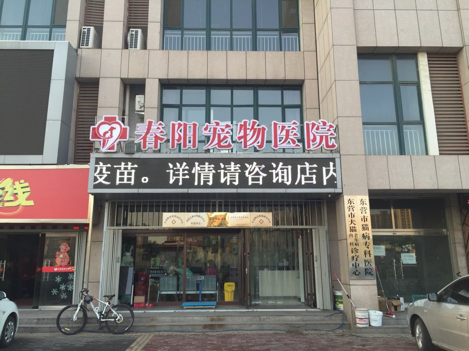 春阳宠物医院(北一路店)