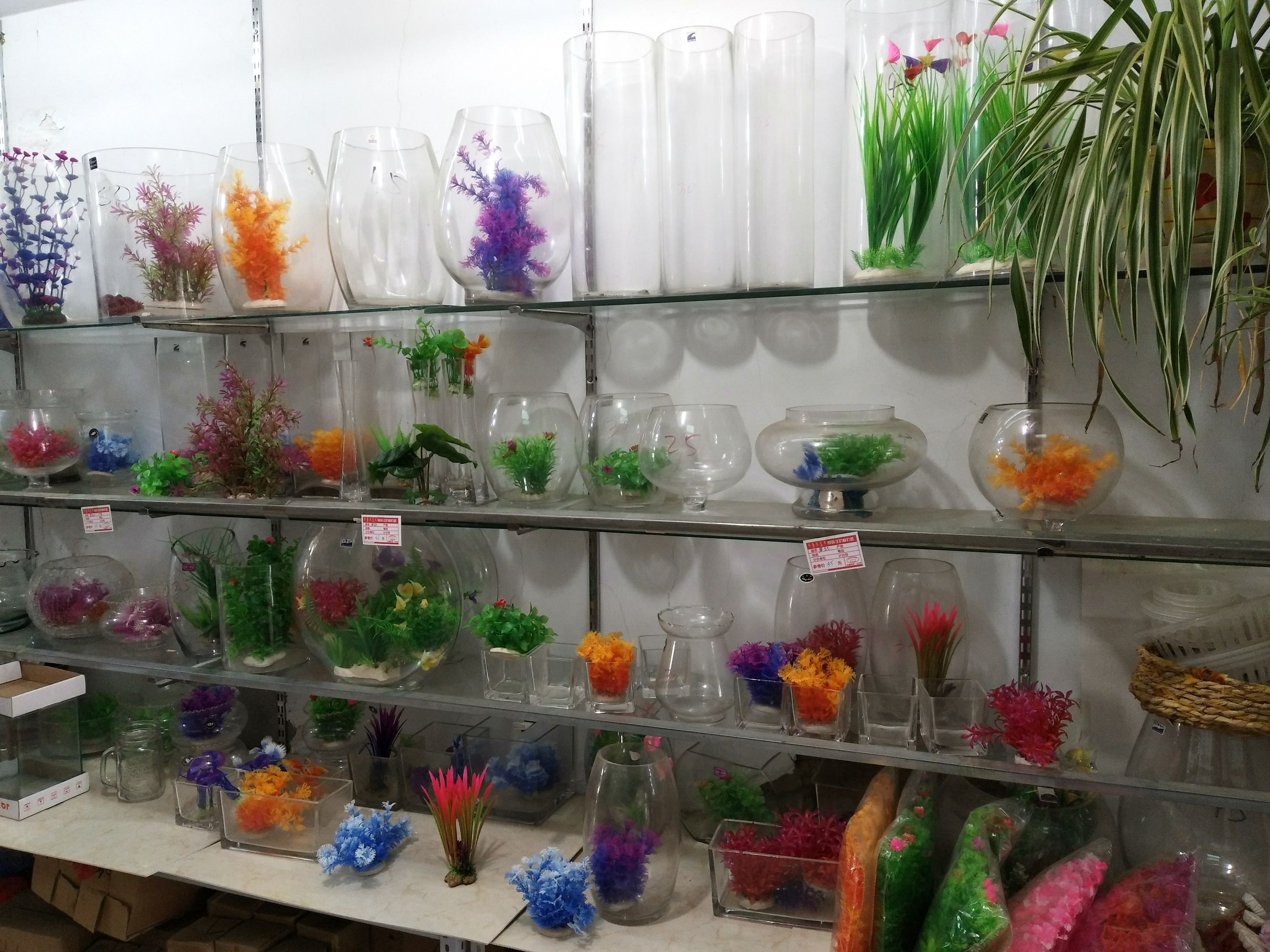 意包龙渔具水族馆