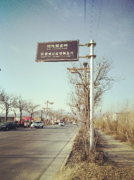 陕西务本堂公益植树基地