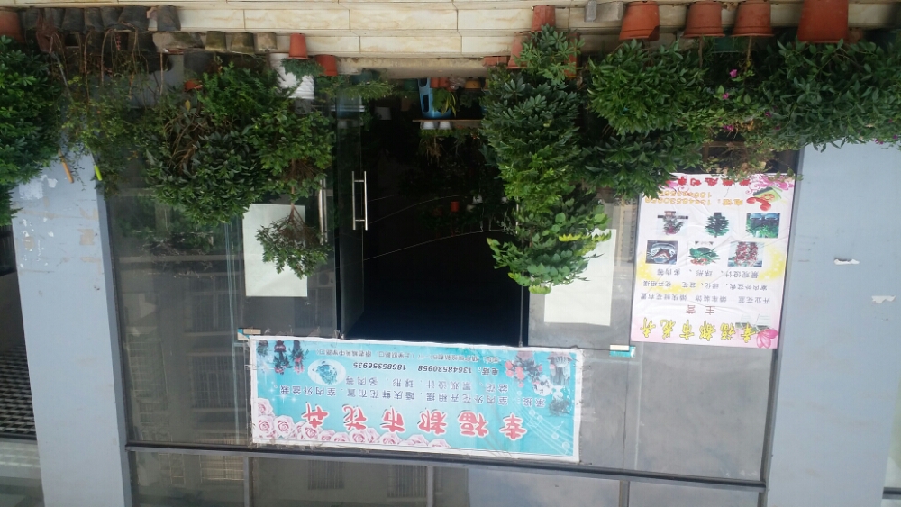 幸福都市花卉(新世纪阳光购物广场店)