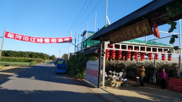 辽宁省铁岭市银州区柴河沿西村