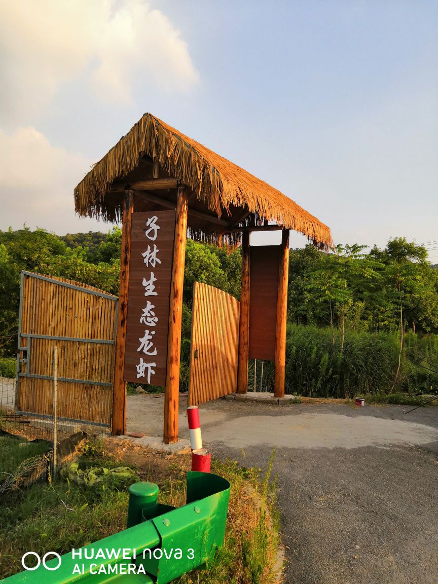 子湾生态龙虾