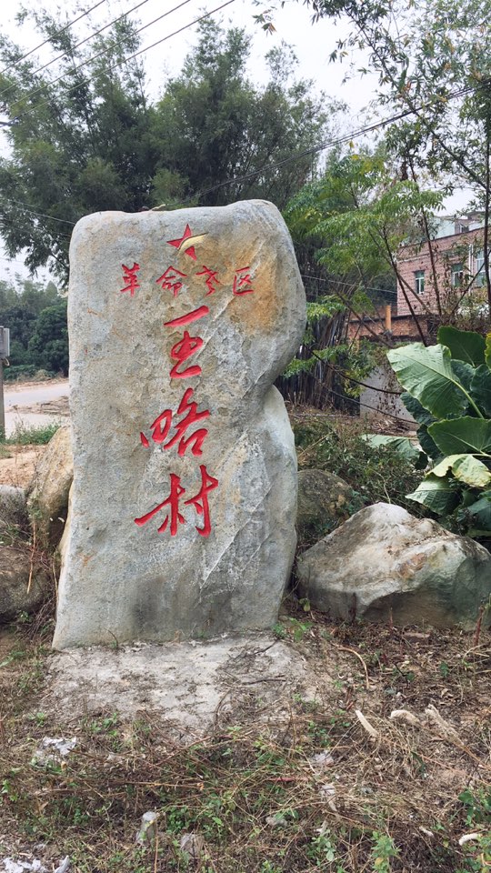 广东省茂名市化州市杨梅镇木平王略村