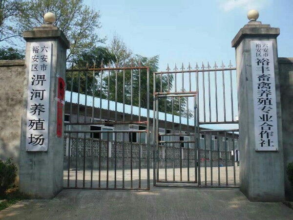 安徽省六安市裕安区西河口乡淠河村