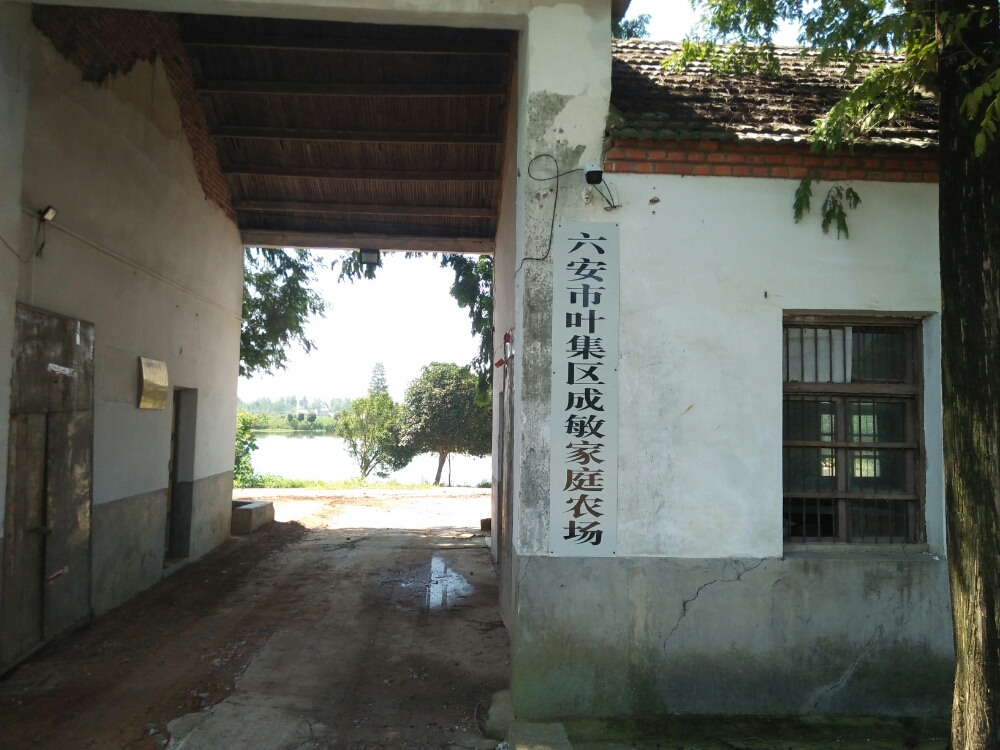 六安市叶集区三元镇龙元村