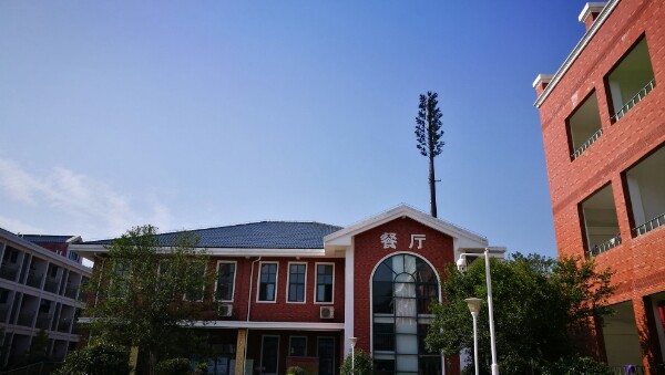 高新天问学校