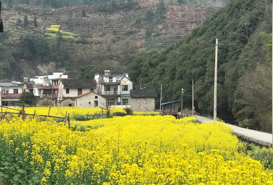 黄山市休宁县