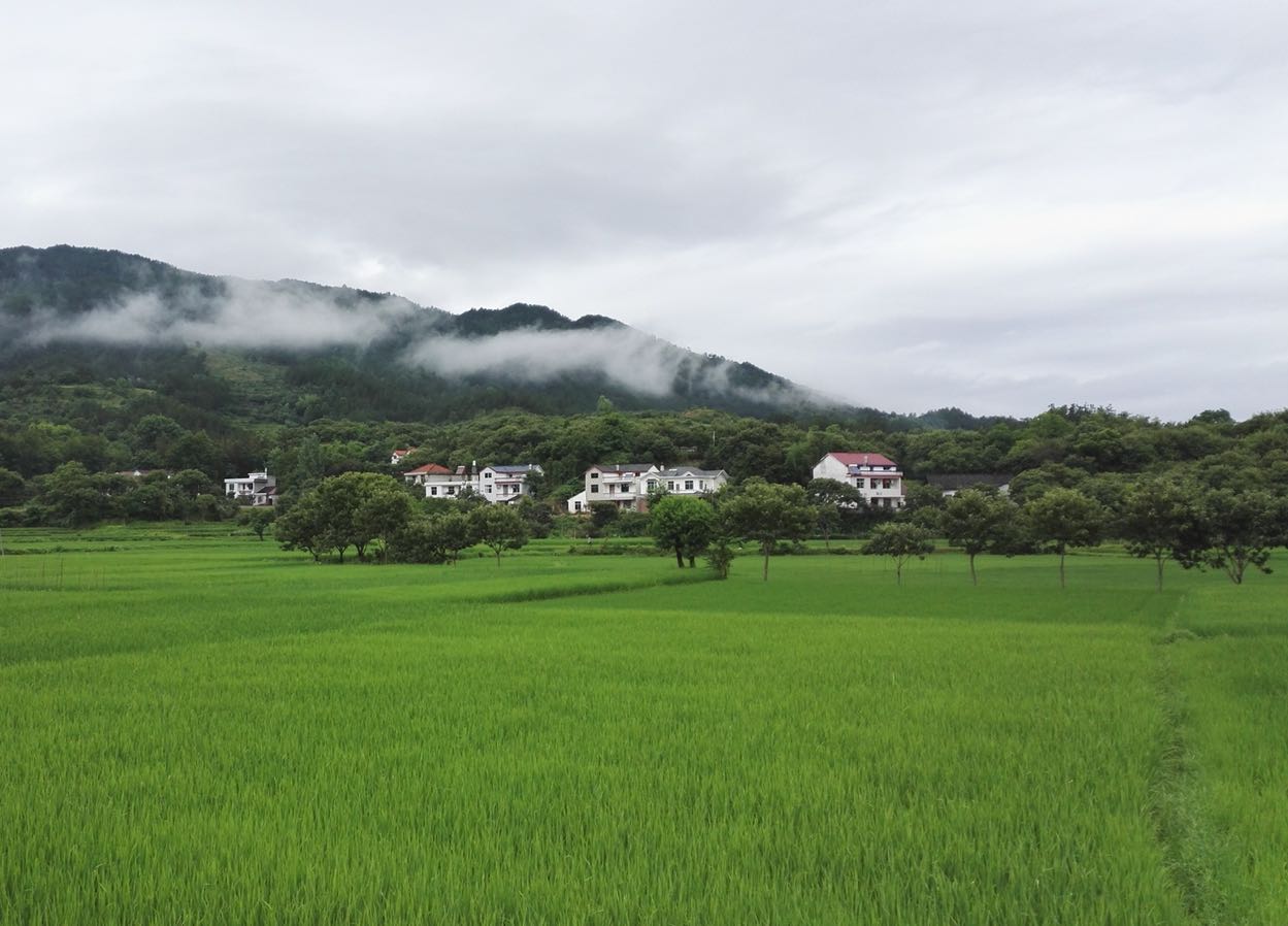 黄冈市罗田县