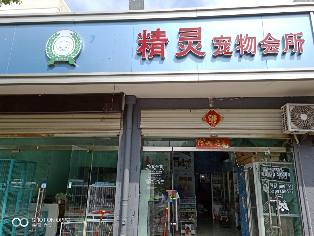 精灵宠物生活馆(祥和家园东区店)