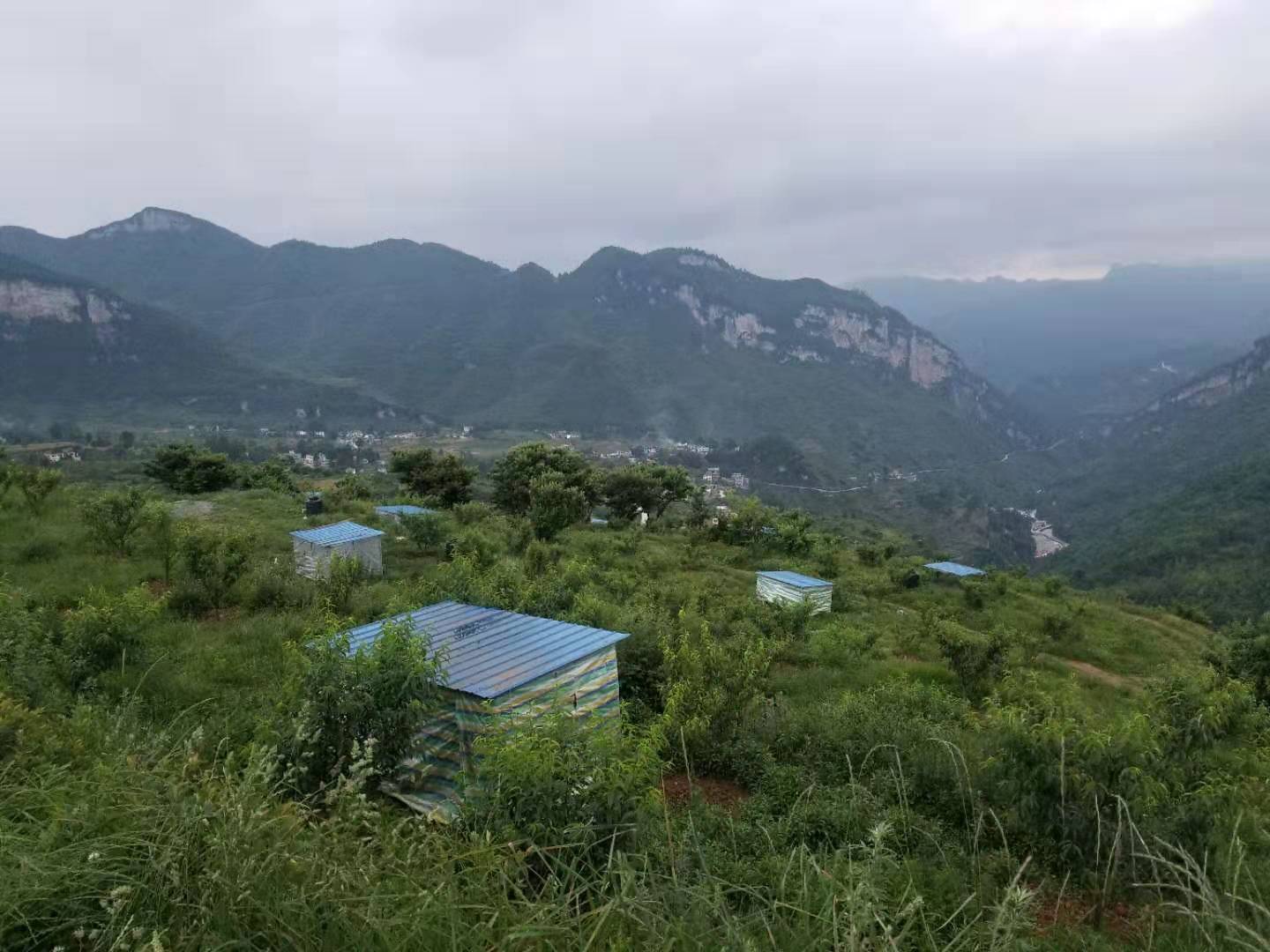 贵州省毕节市大方县大山乡松鹤村