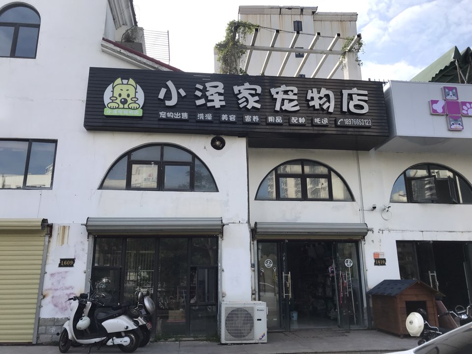 小泽家宠物店