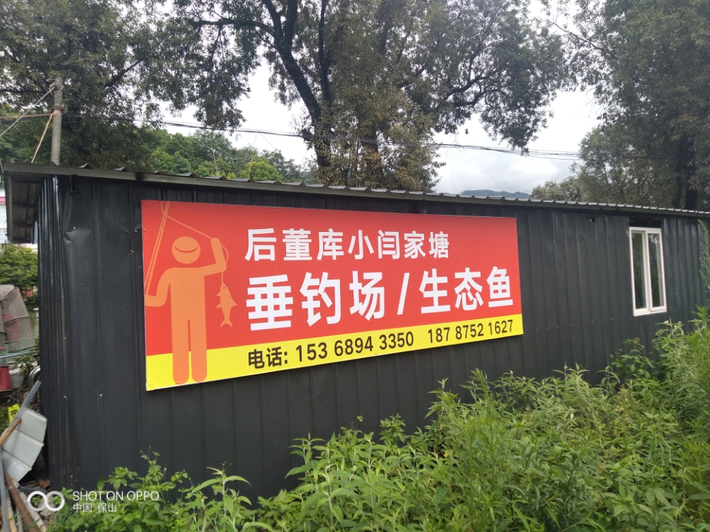 后董库小闫家塘垂钓场生态鱼