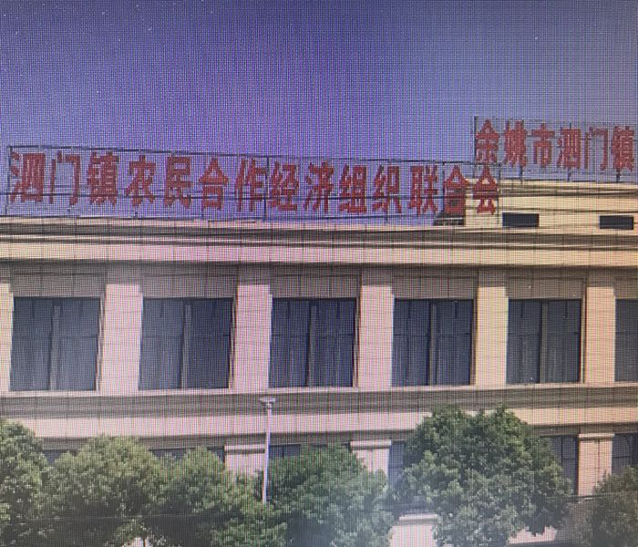 余姚市泗門鎮農民合作經濟組織聯合會