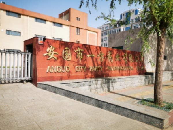安国市一方药业有限公司