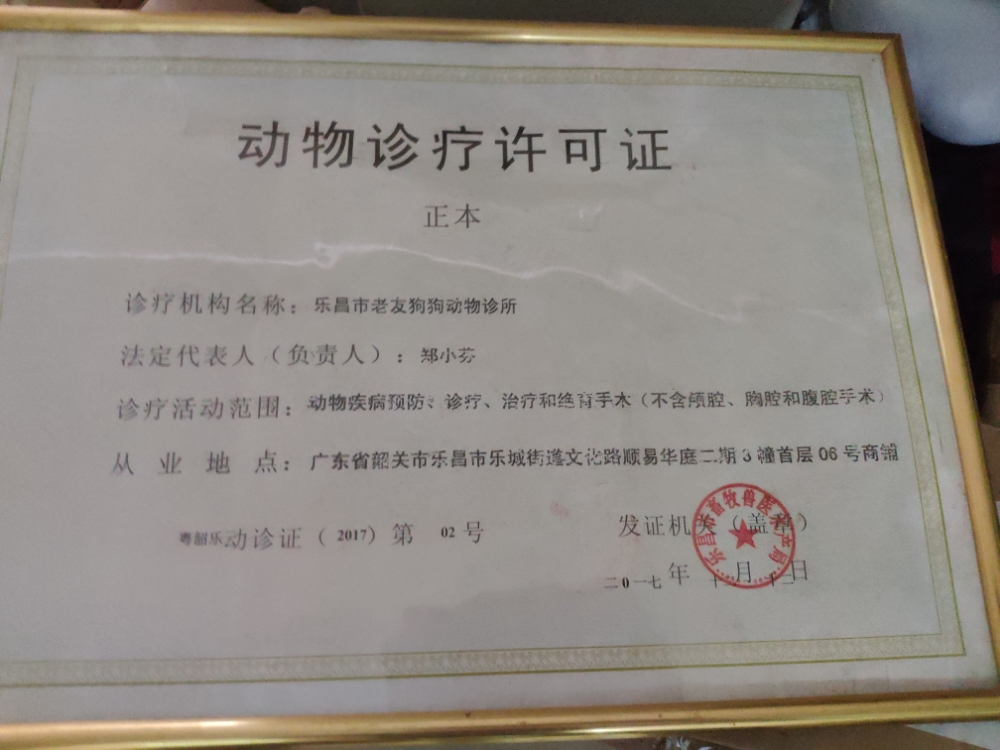 老友狗狗动物诊所